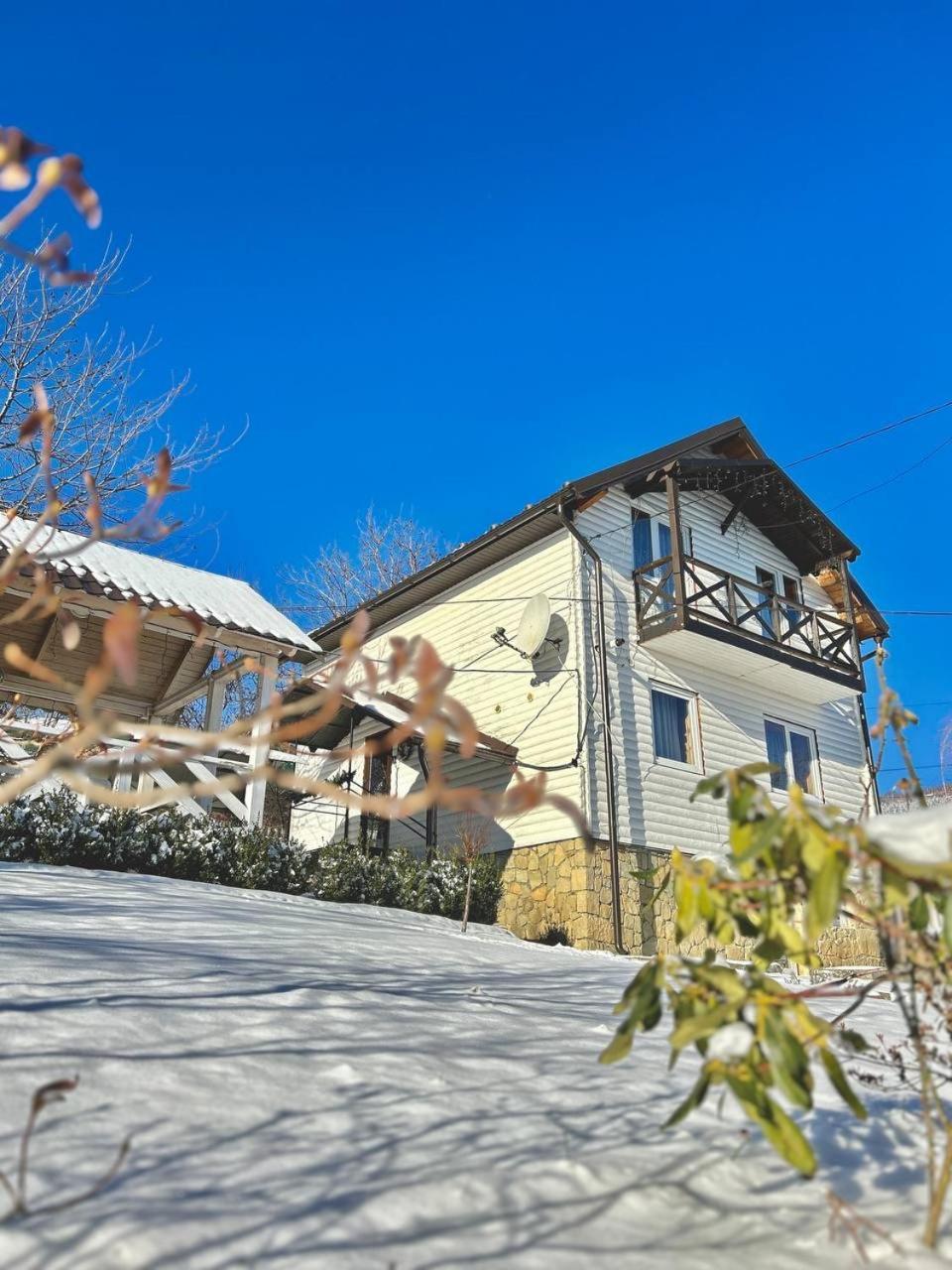 Carpathian Manor Lodge